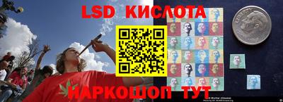 ПСИЛОЦИБИНОВЫЕ ГРИБЫ Гулькевичи
