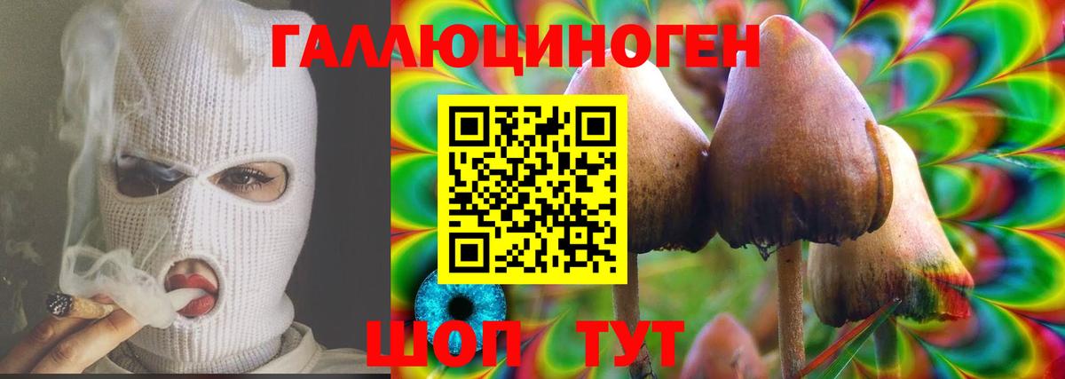 Галлюциногенные грибы Magic Shrooms  Галлюциногенные грибы мицелий  Вход с VPN  Алексеевка 